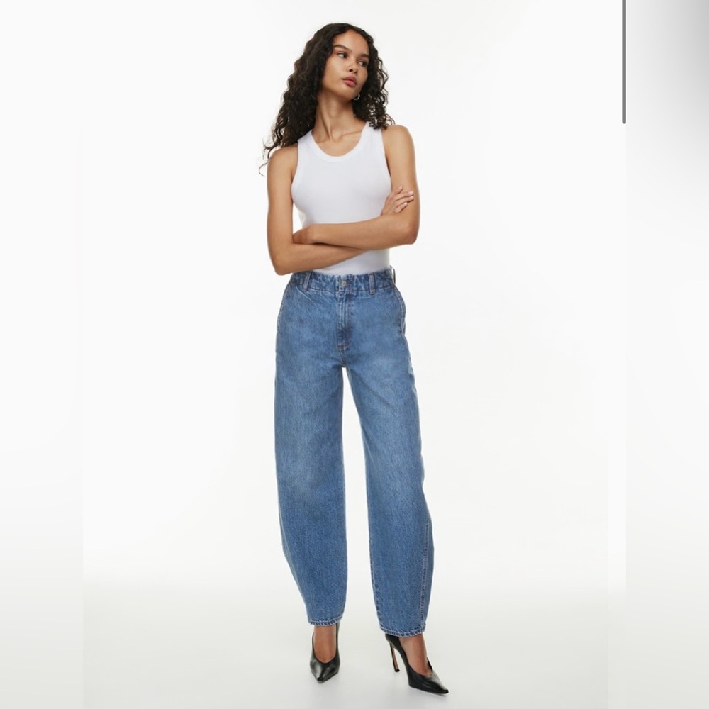 Aritzia Denim Forum The '90s Lana Hi-Rise Baggy Trouser Jean